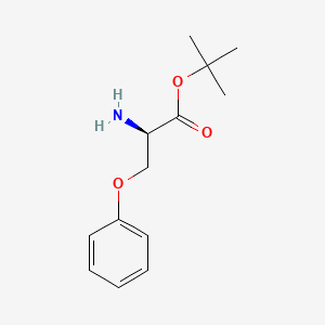 molecular formula C13H19NO3 B8211532 tert-butyl (2R)-2-amino-3-phenoxypropanoate 
