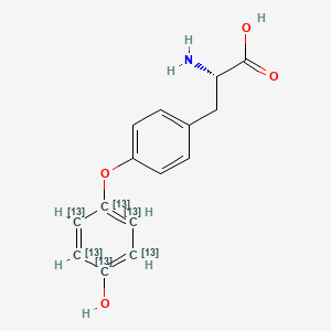 (2S)-2-amino-3-[4-(4-hydroxy(1,2,3,4,5,6-13C6)cyclohexa-1,3,5-trien-1-yl)oxyphenyl]propanoic acid