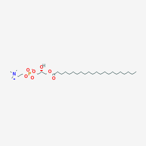 molecular formula C30H62NO7P B8235794 1-Docosanoyl-sn-glycero-3-phosphocholine 