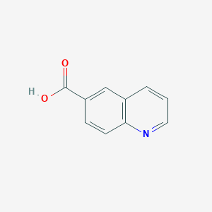 molecular formula C10H7NO2 B082417 6-Quinolinecarboxylic acid CAS No. 10349-57-2