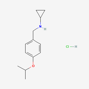 molecular formula C13H20ClNO B8245211 N-(4-Isopropoxybenzyl)cyclopropanamine hydrochloride 