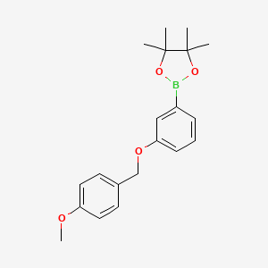2-(3-((4-Methoxybenzyl)oxy)phenyl)-4,4,5,5-tetramethyl-1,3,2-dioxaborolane