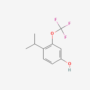 molecular formula C10H11F3O2 B8246767 4-Isopropyl-3-(trifluoromethoxy)phenol 