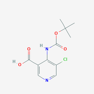 4-Tert-butoxycarbonylamino-5-chloro-nicotinic acid