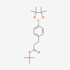 molecular formula C19H29BO4 B8260194 Tert-butyl 3-(4-(4,4,5,5-tetramethyl-1,3,2-dioxaborolan-2-yl)phenyl)propanoate 