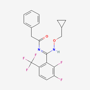 molecular formula C20H17F5N2O2 B8261453 N-[(cyclopropylmethoxyamino)-[2,3-difluoro-6-(trifluoromethyl)phenyl]methylidene]-2-phenylacetamide 