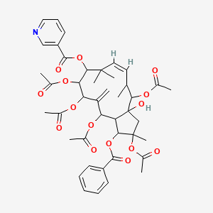 molecular formula C43H51NO15 B8261898 Pepluanin A 
