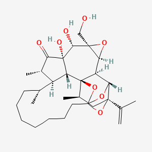 molecular formula C30H44O8 B8262464 (1R,2R,4R,5R,6S,7S,9R,10S,11S,13S,14R,15R,25R)-10,11-dihydroxy-9-(hydroxymethyl)-2,13,15-trimethyl-4-prop-1-en-2-yl-8,24,26,27-tetraoxaheptacyclo[12.10.1.14,23.15,23.01,6.07,9.011,25]heptacosan-12-one CAS No. 66107-38-8