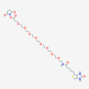 molecular formula C33H56N4O14S B8263642 Biotin-PEG8-NHS ester 