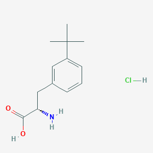 molecular formula C13H20ClNO2 B8269504 3-Tert-butyl-l-phenylalanine-hcl 