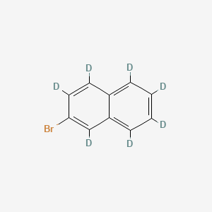 molecular formula C10H7Br B8269670 2-Bromo-1,3,4,5,6,7,8-heptadeuterionaphthalene 