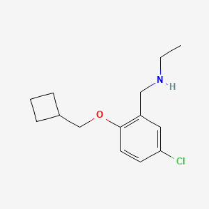 molecular formula C14H20ClNO B8291522 N-Ethyl 5-chloro-2-(cyclobutylmethoxy)benzylamine 