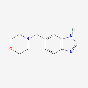 5-morpholin-4-ylmethyl-1H-benzoimidazole