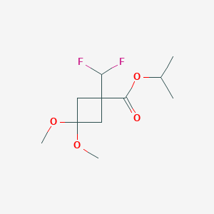 molecular formula C11H18F2O4 B8302233 Isopropyl 1-(difluoromethyl)-3,3-dimethoxycyclobutanecarboxylate 