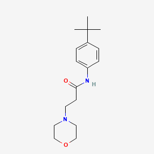 molecular formula C17H26N2O2 B8302282 N-[4-(1,1-dimethylethyl)phenyl]-4-morpholinepropanamide 
