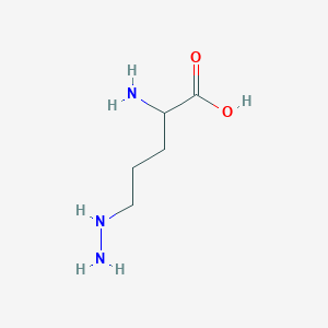 2-Amino-5-hydrazino-pentanoic acid