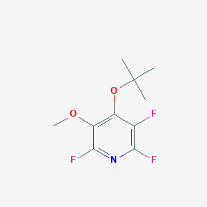 4-t-Butoxy-2,3,6-trifluoro-5-methoxypyridine
