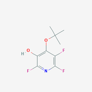 4-t-Butoxy-2,3,6-trifluoro-5-hydroxypyridine