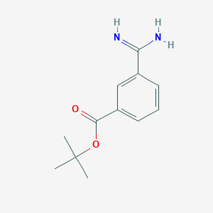 3-Carbamimidoyl-benzoic acid tert-butyl ester
