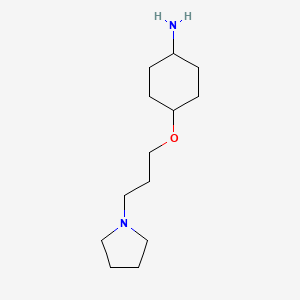 trans-4-[3-(Pyrrolidin-1-yl)propoxy]cyclohexanamine