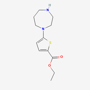 molecular formula C12H18N2O2S B8372045 Ethyl 5-(1,4-diazepan-1-yl)thiophene-2-carboxylate 