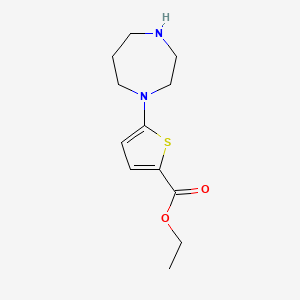 Ethyl 5-(1,4-diazepan-1-yl)thiophene-2-carboxylate
