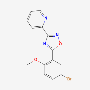 molecular formula C14H10BrN3O2 B8375706 3-(2-Pyridyl)-5-(5-bromo-2-methoxyphenyl)-1,2,4-oxadiazole 