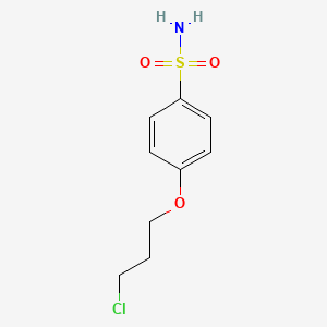 molecular formula C9H12ClNO3S B8375986 4-(3-Chloropropoxy)benzenesulfonamide 