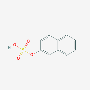 molecular formula C10H8O4S B083768 2-Naphthyl sulfate CAS No. 13146-59-3