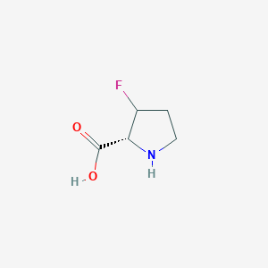 molecular formula C5H8FNO2 B8378837 3-Fluoroproline 