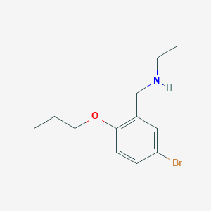 molecular formula C12H18BrNO B8381413 N-[(5-bromo-2-propoxyphenyl)methyl]ethanamine 
