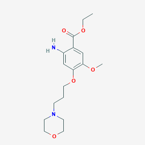 molecular formula C17H26N2O5 B8382873 Ethyl 3-methoxy-4-(3-morpholinopropoxy)-6-aminobenzoate 