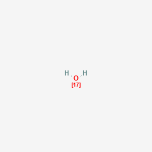 molecular formula H2O B083853 Water-17O CAS No. 13768-40-6