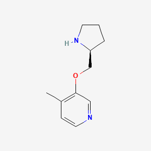 molecular formula C11H16N2O B8390460 4-methyl-3-(2-(S)-pyrrolidinylmethoxy)pyridine 