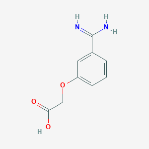 3-Amidinophenoxyacetic acid