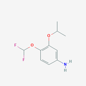 molecular formula C10H13F2NO2 B8396196 4-Difluoromethoxy-3-isopropoxy-phenylamine 
