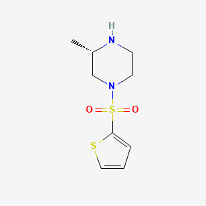 molecular formula C9H14N2O2S2 B8399136 (3S)-3-methyl-1-(2-thiophenylsulfonyl)piperazine 