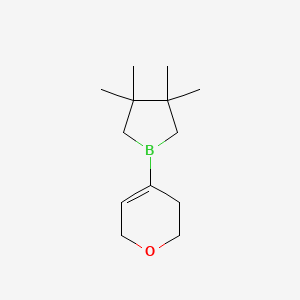 1-(3,6-Dihydro-2H-pyran-4-yl)-3,3,4,4-tetramethylborolane