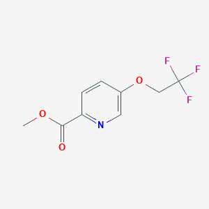 molecular formula C9H8F3NO3 B8401756 Methyl 5-(2,2,2-trifluoroethoxy)pyridine-2-carboxylate 