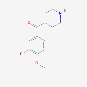 molecular formula C14H18FNO2 B8409452 (4-Ethoxy-3-fluoro-phenyl)-piperidin-4-yl-methanone 