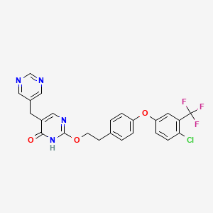 molecular formula C24H18ClF3N4O3 B8418171 GSK2647544 CAS No. 1380426-95-8