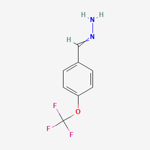 [1-(4-Trifluoromethoxyphenyl)-methylidene]-hydrazine