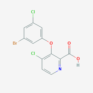 3-(3-Bromo-5-chlorophenoxy)-4-chloropyridine-2-carboxylic acid
