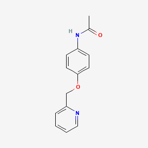 molecular formula C14H14N2O2 B8435187 N-[4-(pyridin-2-ylmethoxy)phenyl]acetamide 