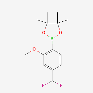molecular formula C14H19BF2O3 B8435553 2-(4-(Difluoromethyl)-2-methoxyphenyl)-4,4,5,5-tetramethyl-1,3,2-dioxaborolane 