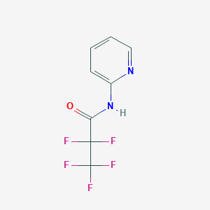 molecular formula C8H5F5N2O B8443245 2-(Pentafluoropropanamido)pyridine 