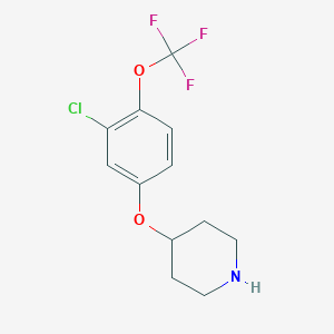 molecular formula C12H13ClF3NO2 B8446285 4-(3-Chloro-4-(trifluoromethoxy)phenoxy)piperidine 