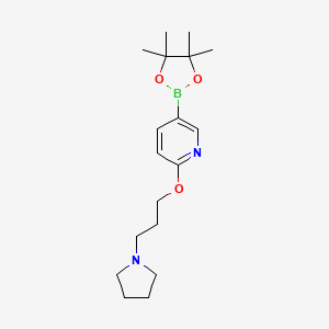 2-(3-Pyrrolidin-1-ylpropoxy)-5-(4,4,5,5-tetramethyl-1,3,2-dioxaborolan-2-yl)pyridine