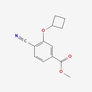 molecular formula C13H13NO3 B8472081 Methyl 4-cyano-3-(cyclobutyloxy)benzoate 