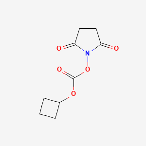 molecular formula C9H11NO5 B8472155 Cyclobutyl 2,5-dioxopyrrolidin-1-yl carbonate 